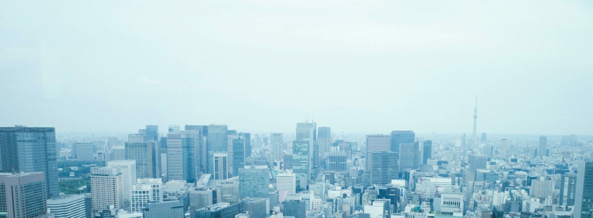 Book review: Urban Food Deserts in Japan
