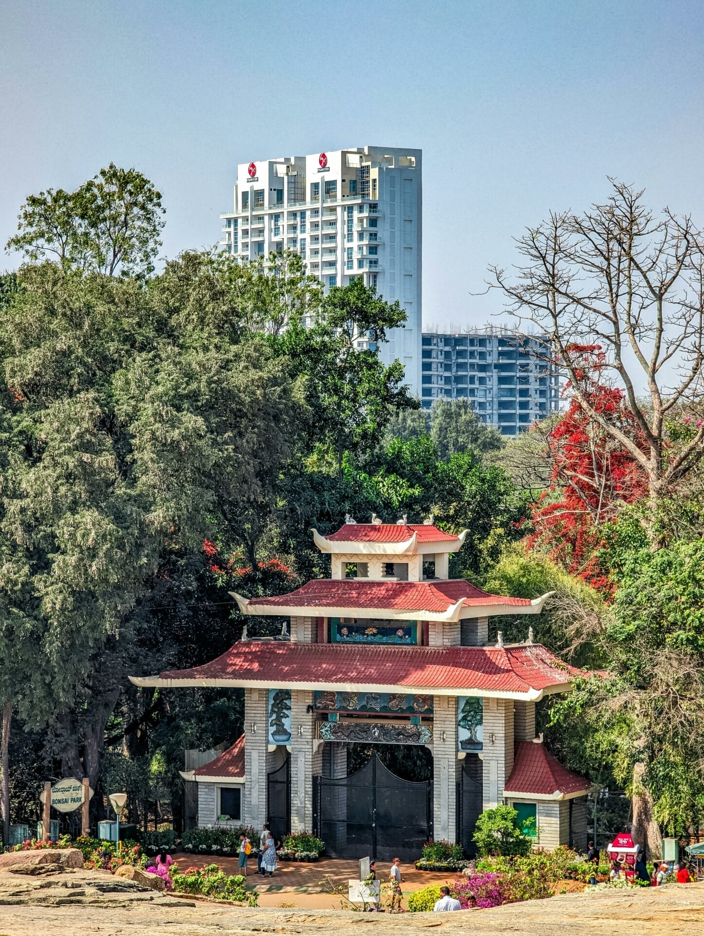 Lalbagh Botanical Garden in Bangalore in India. Photo by Umar Andrabi via Pexels.