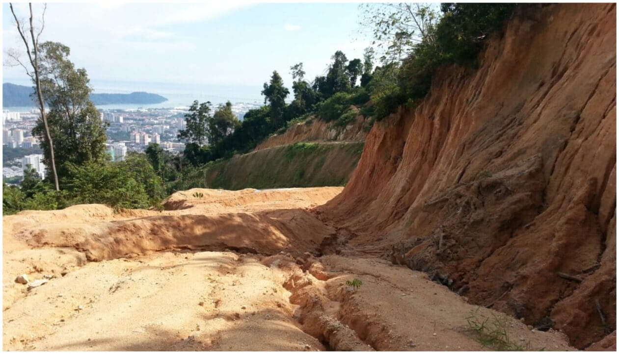 Figure 1. Summit of Botak Hill, which used to be primary forest until the illegal clearing in 2013. Source: Rexy Chacko, reproduced with permission.