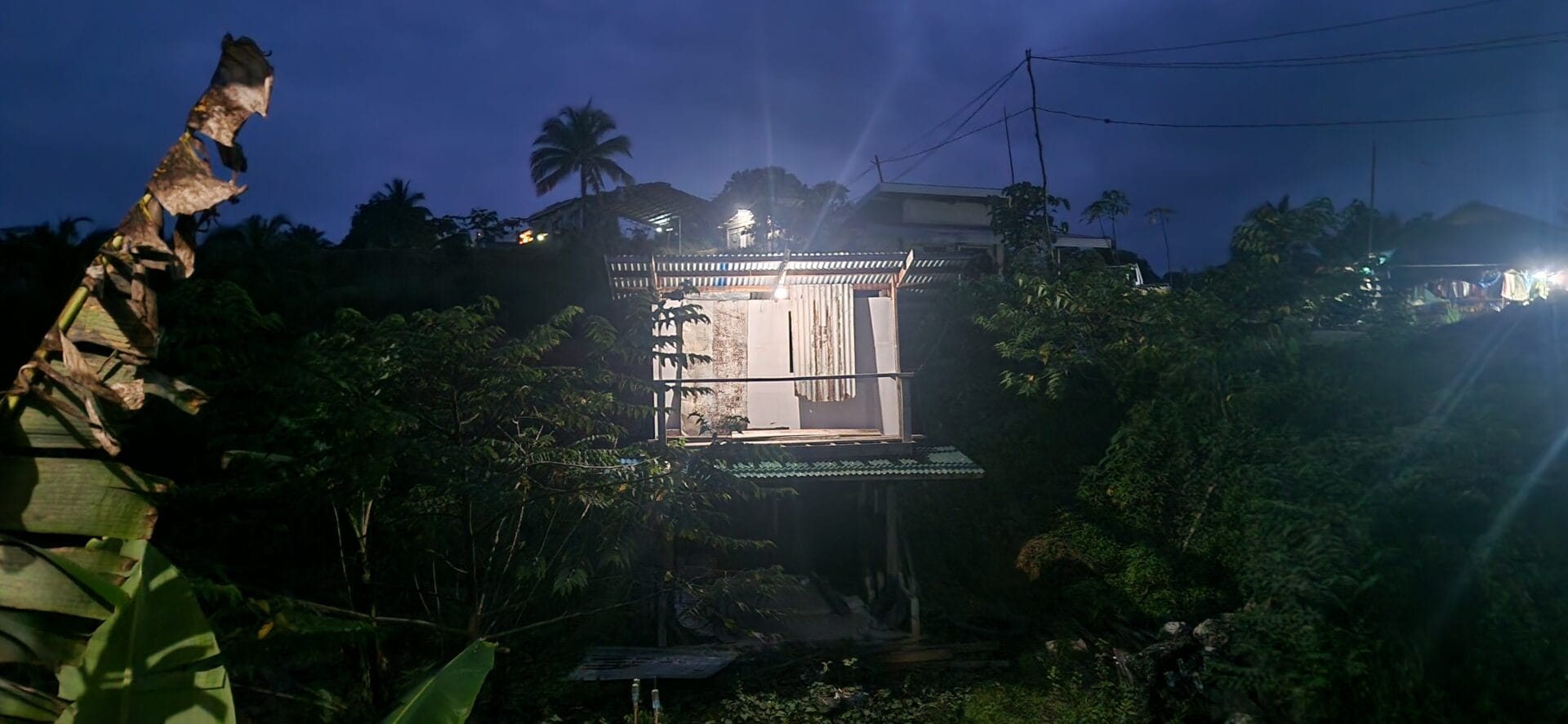 Illuminated elevated shack surrounded by vegetation at night