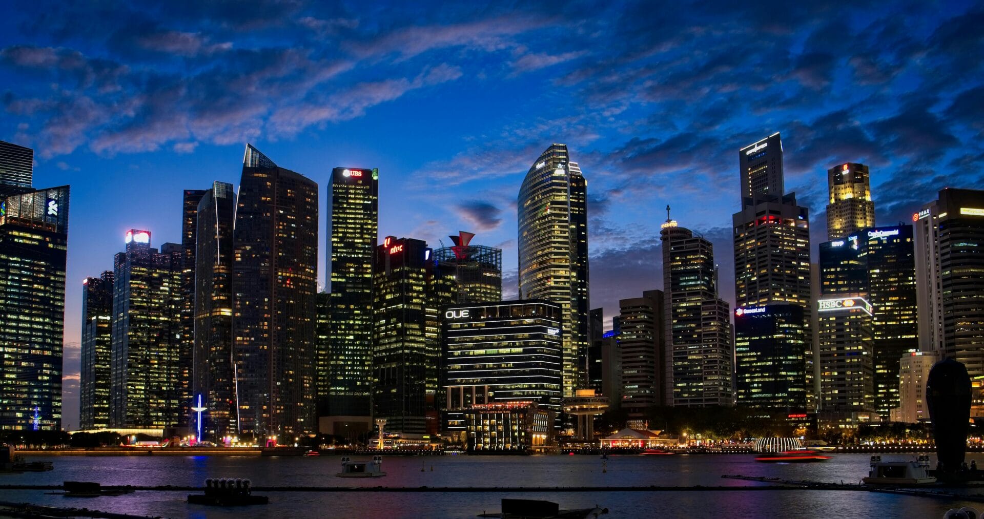 Book Review Forum: Reimagining the More-Than-Human City: Stories from Singapore